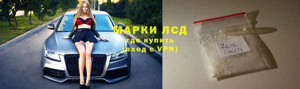 прущий лед Алзамай