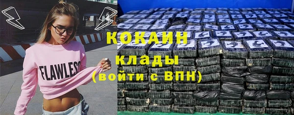 прущий лед Алзамай