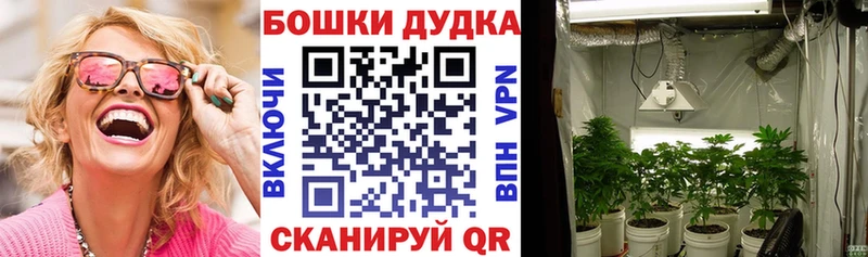 где купить Ржев Бошки марихуана Amnesia